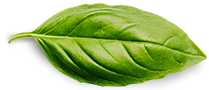 organic product support india